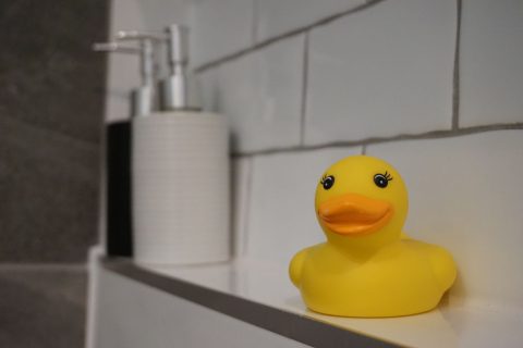 rubber duck with renovated acacia ridge bathroom wall by three stems in the background